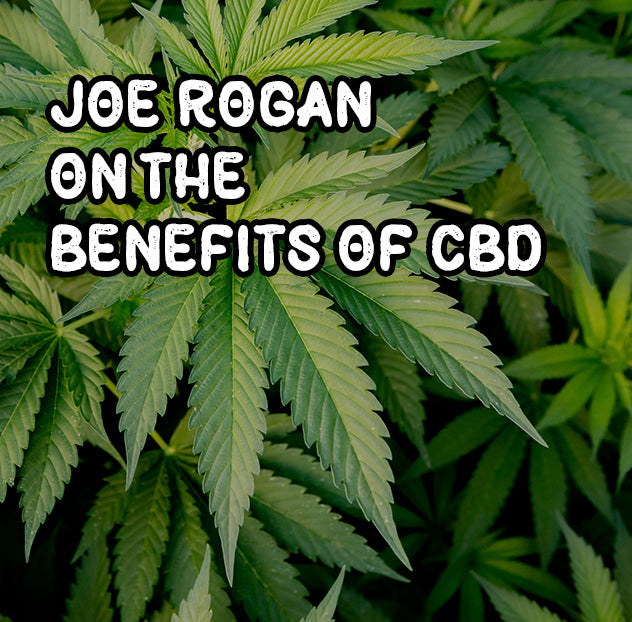 Joe Rogan "CBD is One of the Best Things I've Ever Tried for Anxiety"