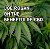 Joe Rogan "CBD is One of the Best Things I've Ever Tried for Anxiety"