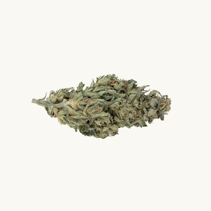 CBWEED Organic Hemp - White Widow