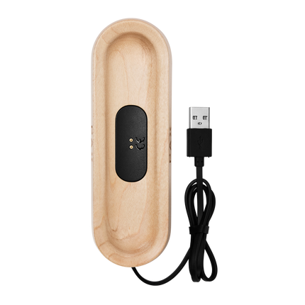 PAX CHARGING TRAY