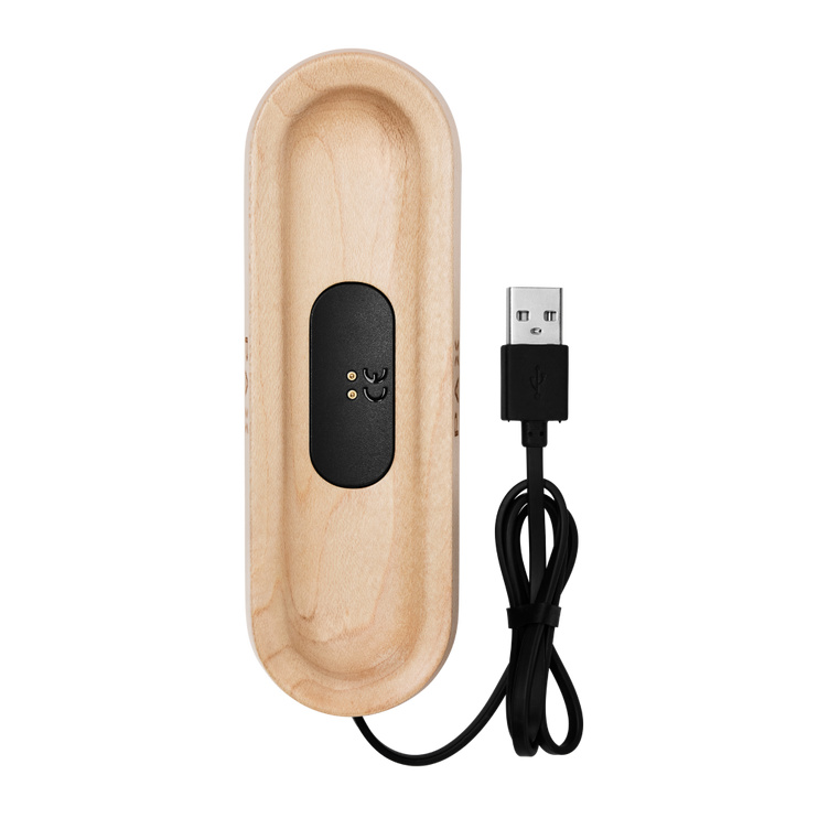 PAX CHARGING TRAY