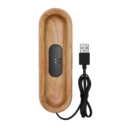 PAX CHARGING TRAY